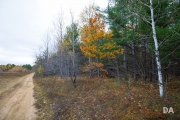 Grey Woods-3