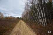 Grey Woods-4