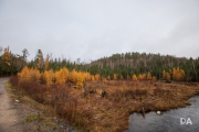 Highlands-15