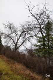 Highlands-4