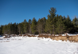 28-Real-World-17mm