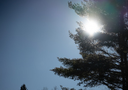 45-Flare-3