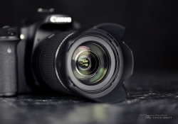 Product Shots-1