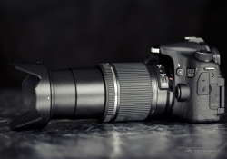 Product Shots-5