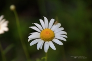 18-400 Samples-39