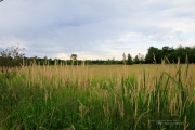Day 2 Images-18