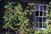 Focal Length with Crop Comparison-3