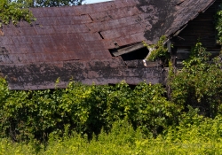 50mm F63 and Crops-3