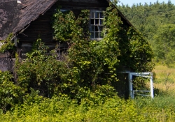 50mm F63 and Crops-4