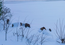 29-Landscape-2