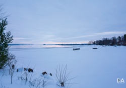 29-Landscape