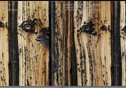G2 vs ART 50mm Middle