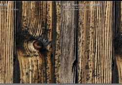 G2 vs ART 70mm f4 middle