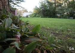 Slow Shutter