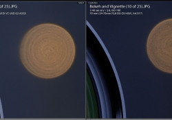 Tamron and Sigma Bokeh Comparison