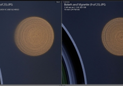 Tamrons Bokeh Compared
