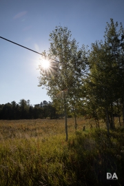 Autumn Field_-12