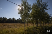 Autumn Field_-13