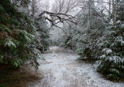 19-Landscapes-2