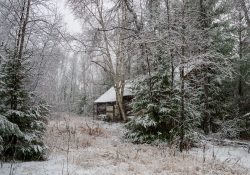 19-Landscapes-3