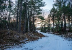 19-Landscapes-4