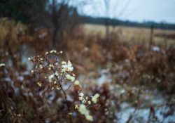 Tamron-24mm-Samples-Ramshackle-4