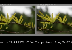 Color Comparison Color Comparison