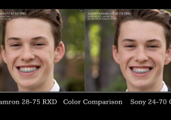 Portrait Skin Tones Portrait Skin Tones