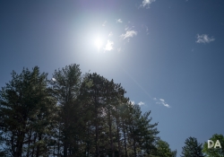 Tamron Flare Wide Open Tamron Flare Wide Open