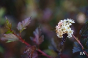 After the Rain-5