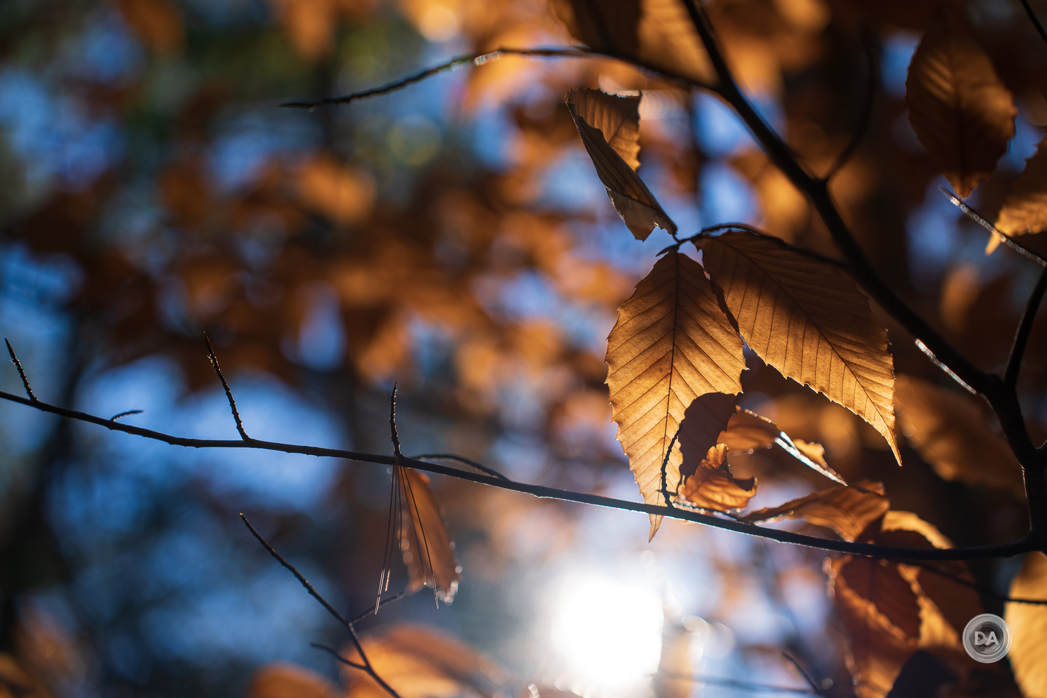 Tamron 28-75mm F/2.8  G2 A063 Sony ソニー