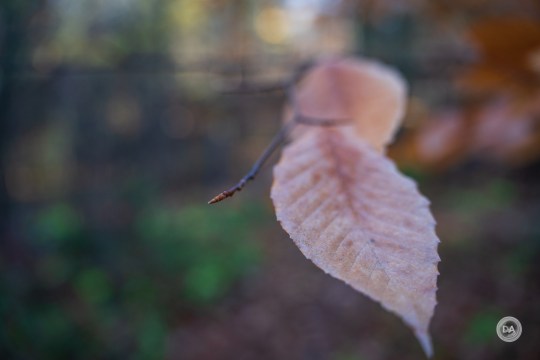A063-Samples-32