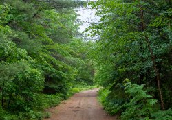 20-Landscapes-2