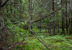 20-Landscapes-3