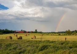20-Landscapes-6