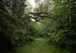 20-Landscapes