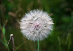 28-Real-World-150mm-3