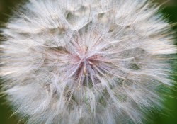 28-Real-World-150mm-4