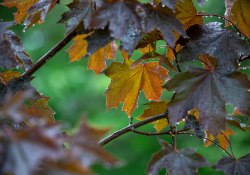 30-Bokeh-3