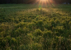31-Flare-3