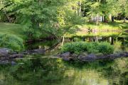 Camp-Samples-11