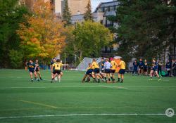 23-Rugby