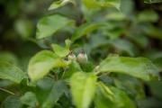 Tamron-35-150-First-12