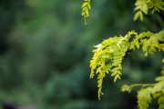 Tamron-35-150-First-13