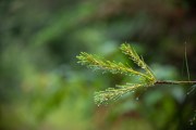 Tamron-35-150-First-15
