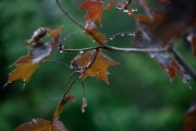 Tamron-35-150-First-4