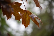Tamron-35-150-First-5