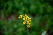 Tamron-35-150-First-7
