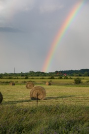 The-Rainbow-2