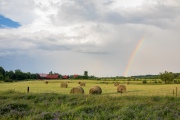 The-Rainbow-3